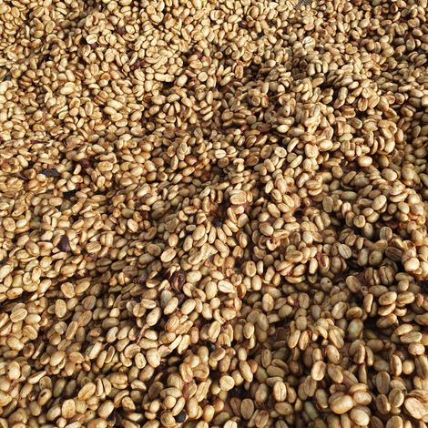Green Coffee Beans - Honey Process