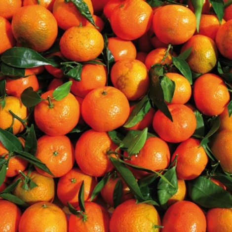 A&A Organic Farms