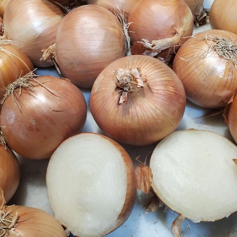 EIE_Onion_YellowOnion_Jumbo