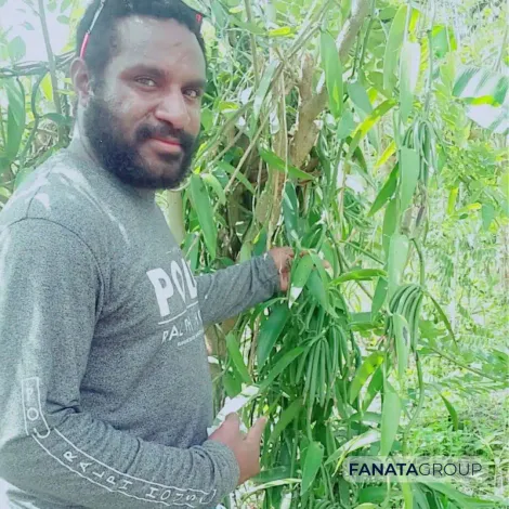 Fanata Group
