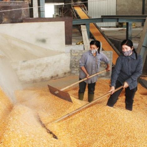 Sao Viet Tuyen Quang Co., Ltd. - Milling Station