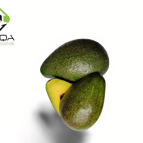 Safqa Fresh and Organic Avocado