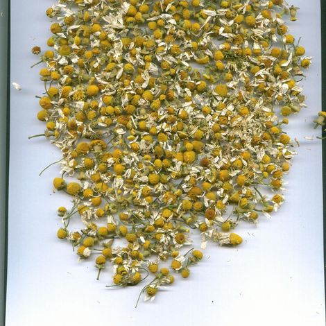 Herbs