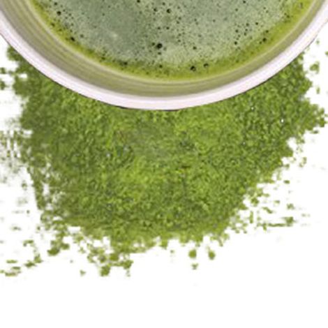 Matcha.jpg