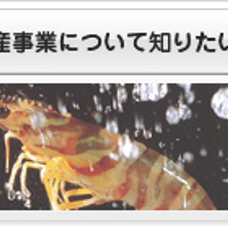 Higashimaru Co., Ltd.
