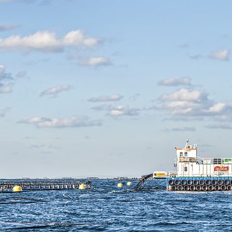 Abalıoğlu Balık ve Gıda ürünleri A.Ş. - Vessel