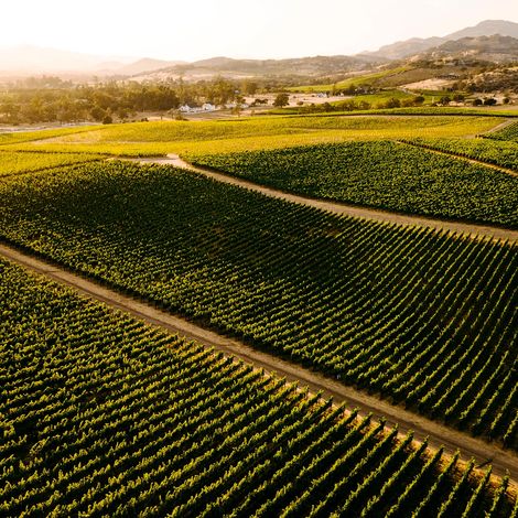 Timeless Napa Valley