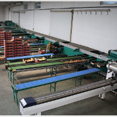 Prima 2000 Sp. z o.o. - Facility