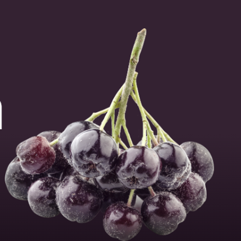 Aronia