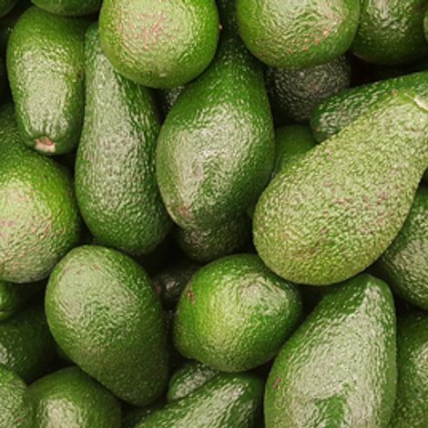 Fruchac Export S.A. - Products