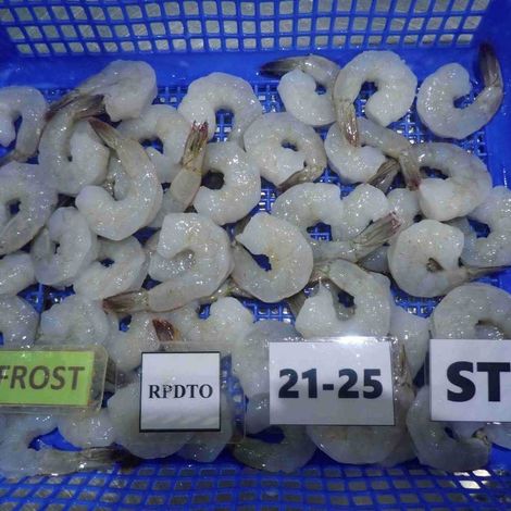 [PT. Indu Manis]_[Frozen Raw Vannamei IQF]_[RPDTO Size 21-25 Defrost]