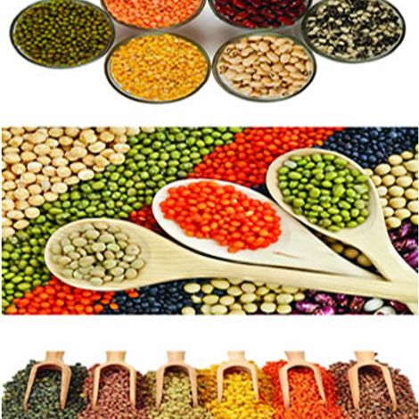 Anley Alemu Seyoum - Pulses and Legumes
