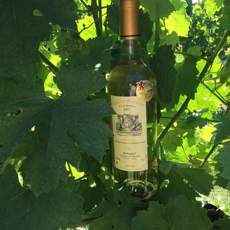 Château Peyrines_Blanc Moelleux A.O.C Bordeaux Haut Benauge_White Wine