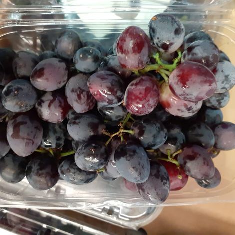 [Agrorizao]_[Grape]