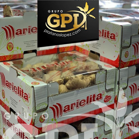 PLATANOS LOPEZ, S.A. - Packaged Product