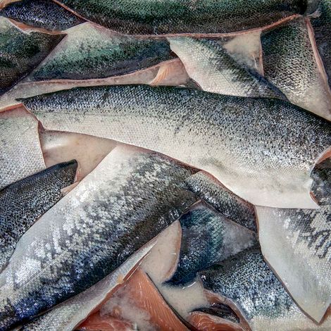 2-fish-in-brine.jpg