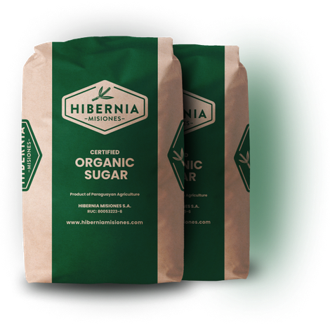 Hibernia Misiones SA