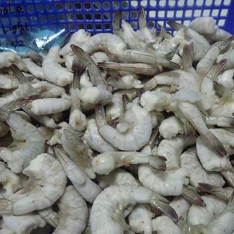 [PT. Indu Manis]_[Frozen Raw Vannamei]_[HLSO]