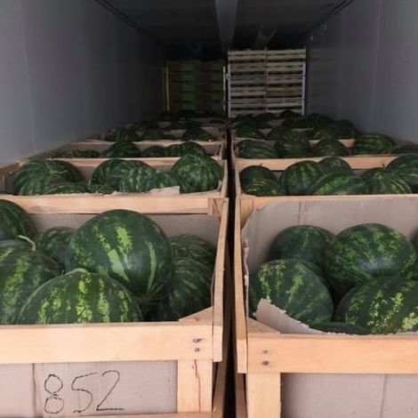 Leva-Stena - Products