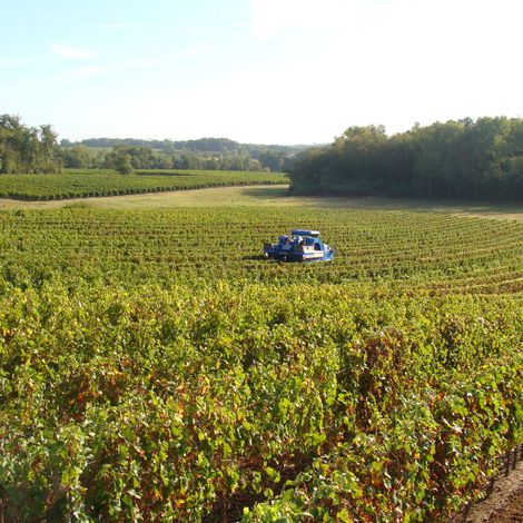 Château Rose Roudier