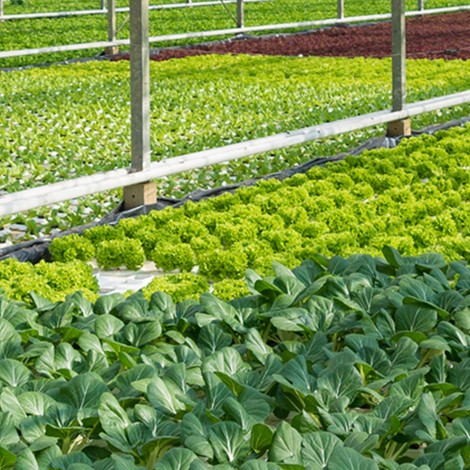 Screenshot 2023-02-15 at 5.31.36 AM.png