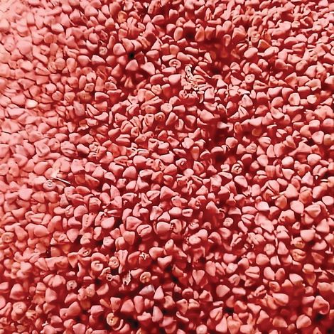 Annatto
