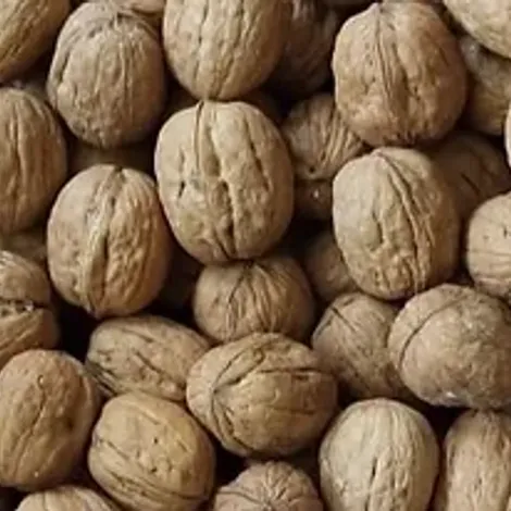 In-Shell Walnuts 1_edited.webp
