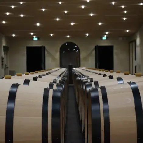 Château Balestard la Tonnelle - Cave