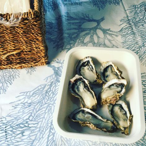 Black Shag Oysters