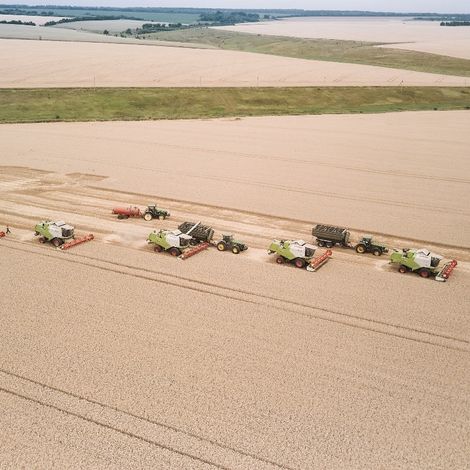 Harvest