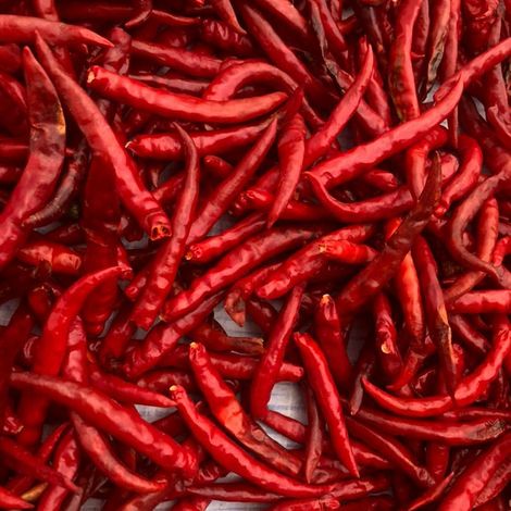 Dry chilli pepper