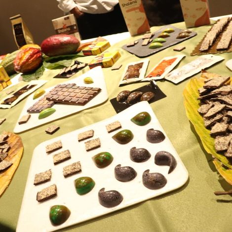 ASOCIACION NACIONAL CACAOTERA DE COLOMBIA