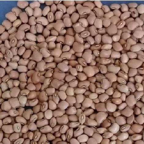 Br Pulses Comercio Importacao e Exportacao Ltda. - Product
