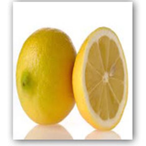 Ergün Halcilik Ambalaj İthalat İhracat Sanayi Ticaret Ltd. Şti.