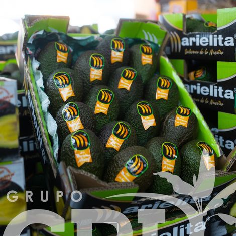 PLATANOS LOPEZ, S.A. - Packaged Product