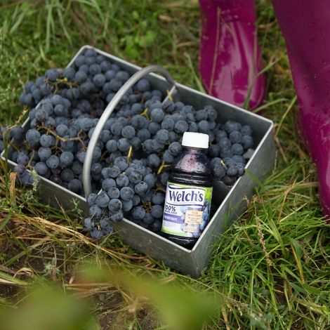 Welch's Recycling Inc