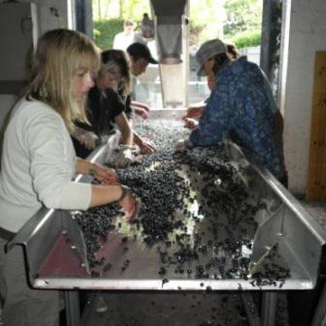 Château Clos Junet - People