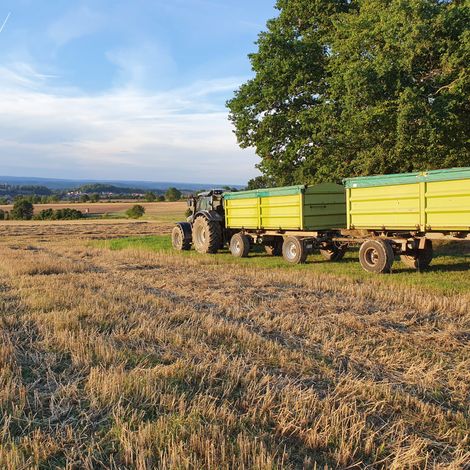Grain Collection In Heroldshof