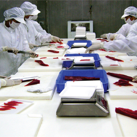PhilFresh Corporation - Processing Area
