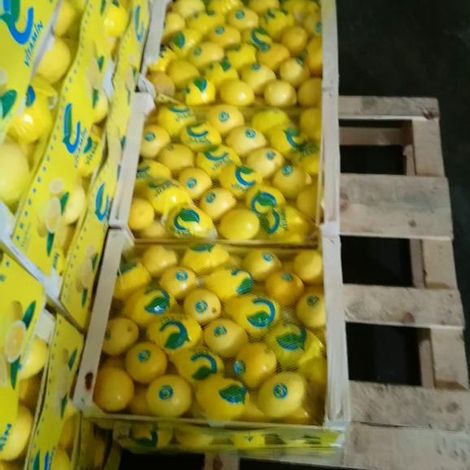 Fresh lemon