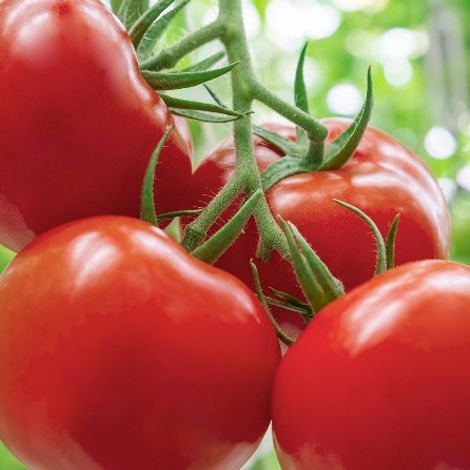 Screenshot 2023-05-12 131136.jpg