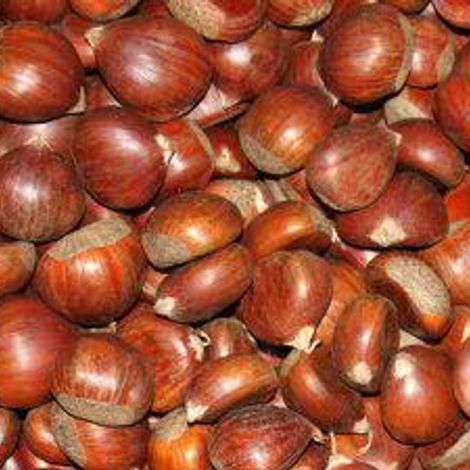 castanhas-frescas.jpg