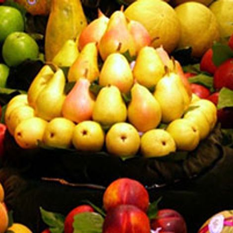 Frucht Partner GmbH