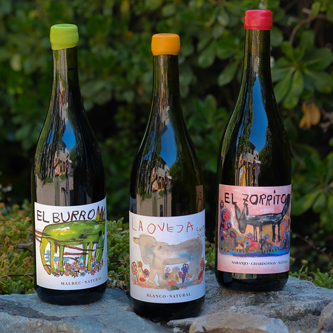 Bodega Santa Julia - Wines