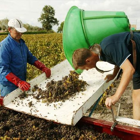 Château de Rayne Vigneau - People