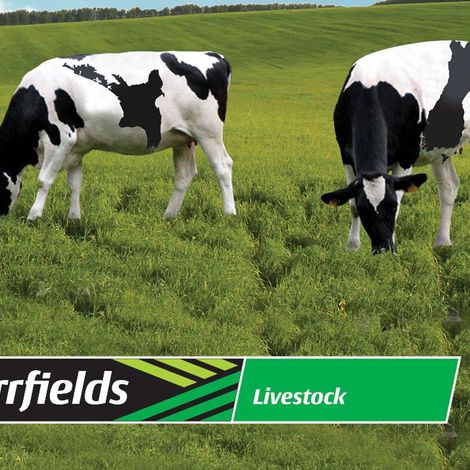Carrfield Limited - Livestock