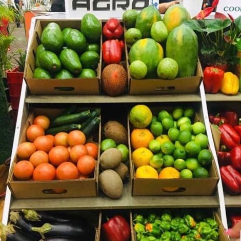 Amr Agro Srl - Products