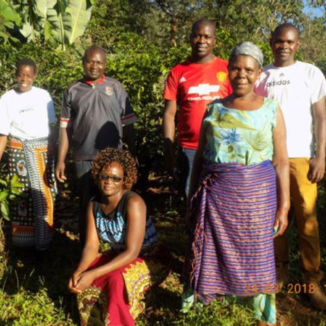 The Village Farms Limited