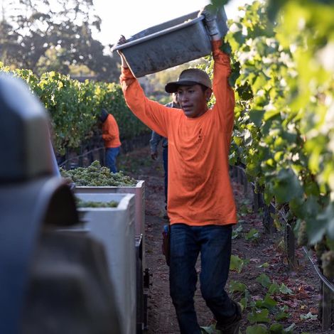 Lail Vineyards_Wine_Process