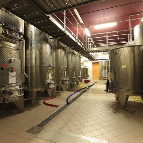 Cantina Villa Corniole_Wine_Processing